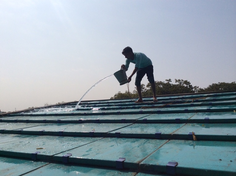 Cool Rood Programme , Ahemdabad