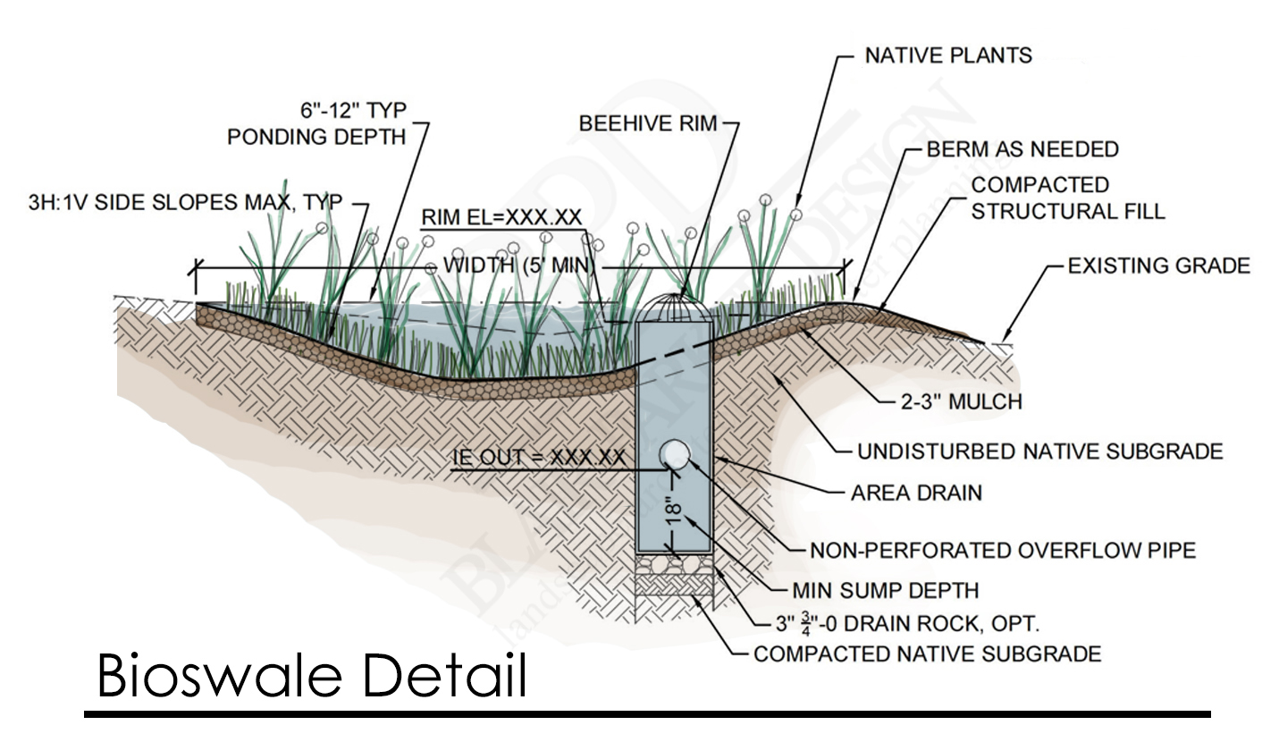 Typical Bioswale Detail