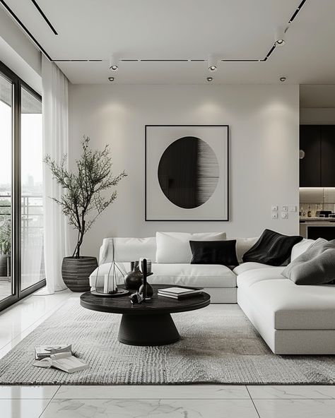 Black and White Monochromatic Palette