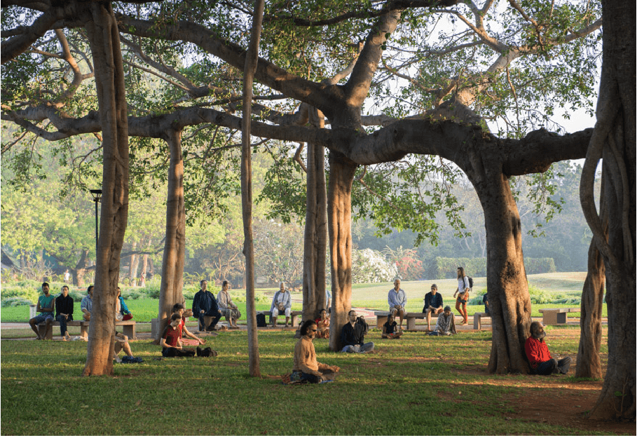 Mediation Space Landscaped under Trees