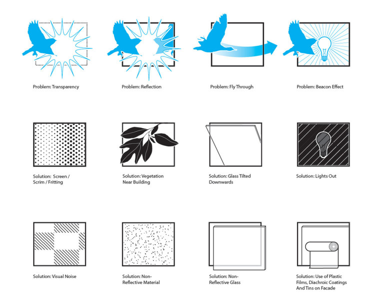 Design Strategies to Support Birds