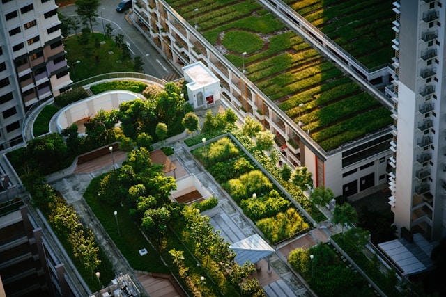 Aerial view of urban rooftop gardens with lush greenery on multiple buildings, exemplifying sustainable architecture. The gardens feature various plants and paths, surrounded by high-rise buildings.