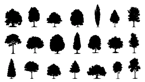 Flat silhouette of trees used in site plans for scale without distraction