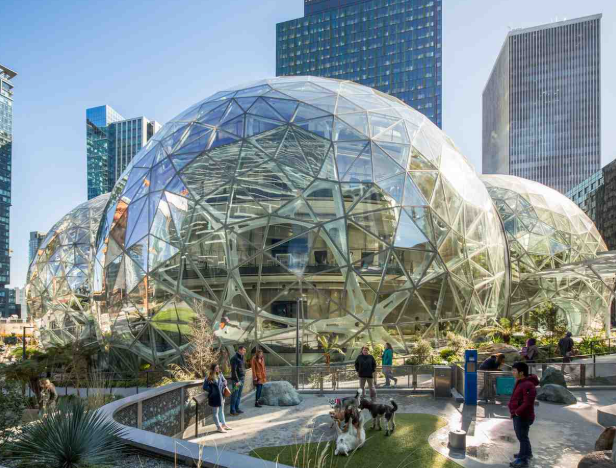 The Amazon Spheres