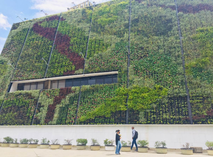 Colombia's Green Corridors