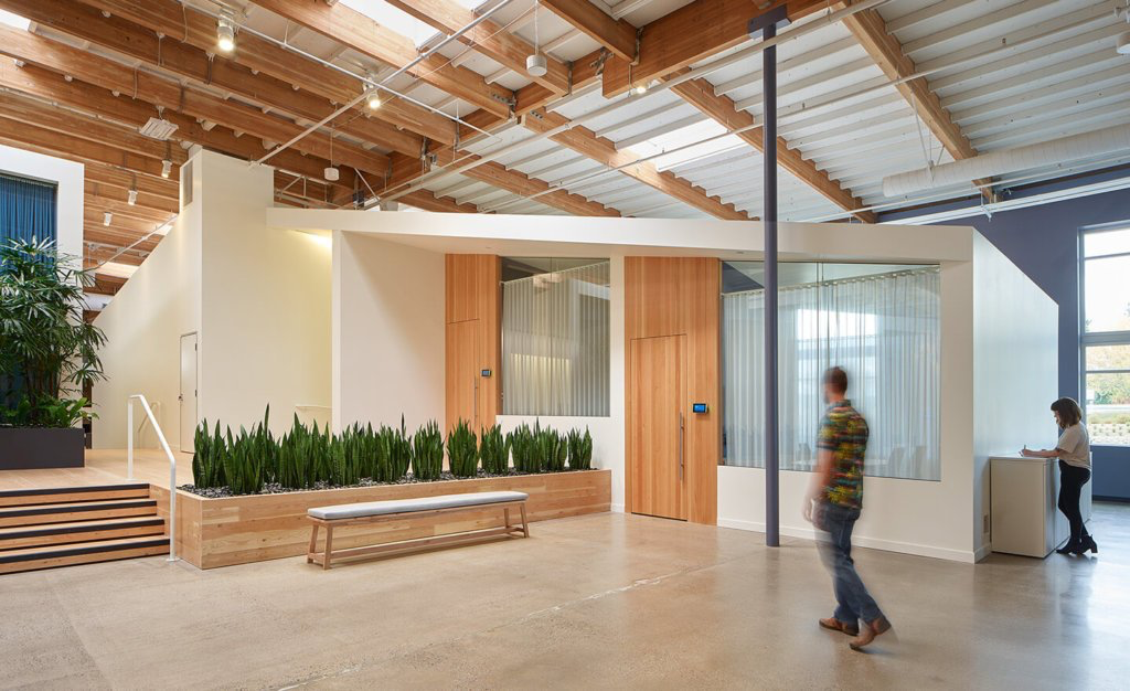 Interior space using engineered wood panels and cross-laminated timber structure.*
