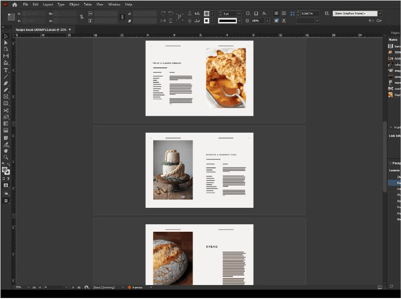 Software Interface, Indesign