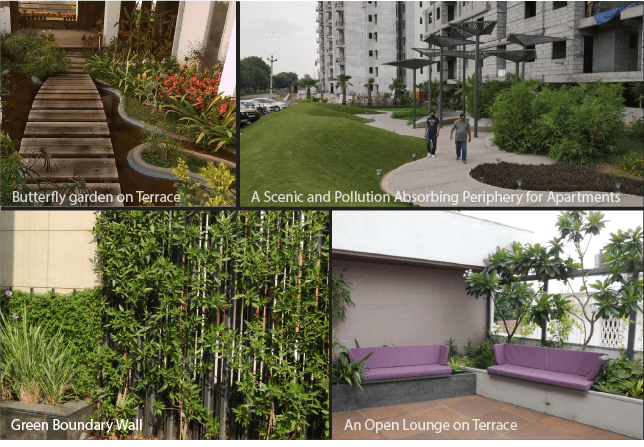 Residential Landscaping&nbsp; Projects depicting Terrace landscape, Built Boundary/Periphery &amp; Terrace Sitouts