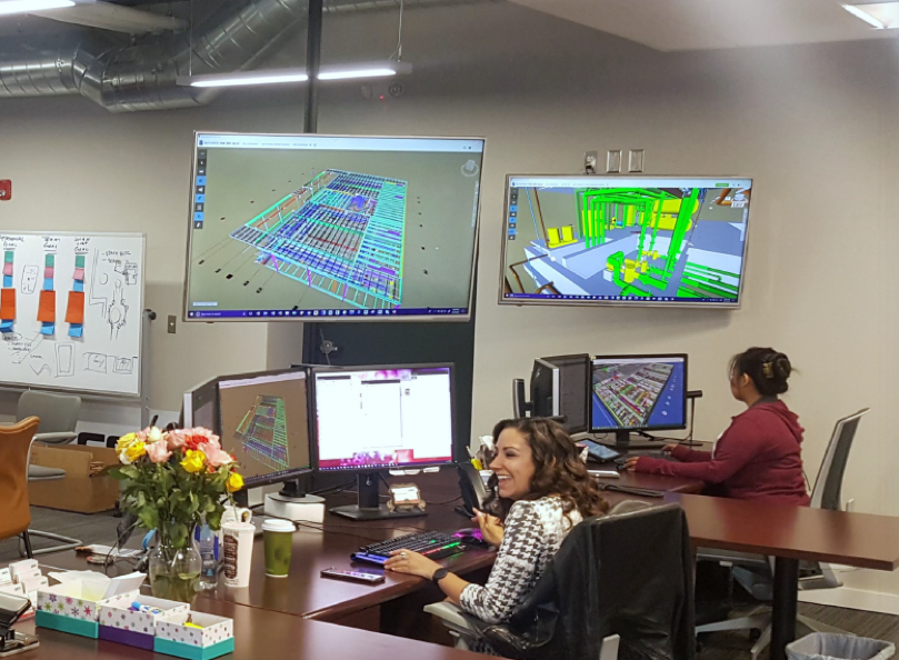 BIM Professionals 