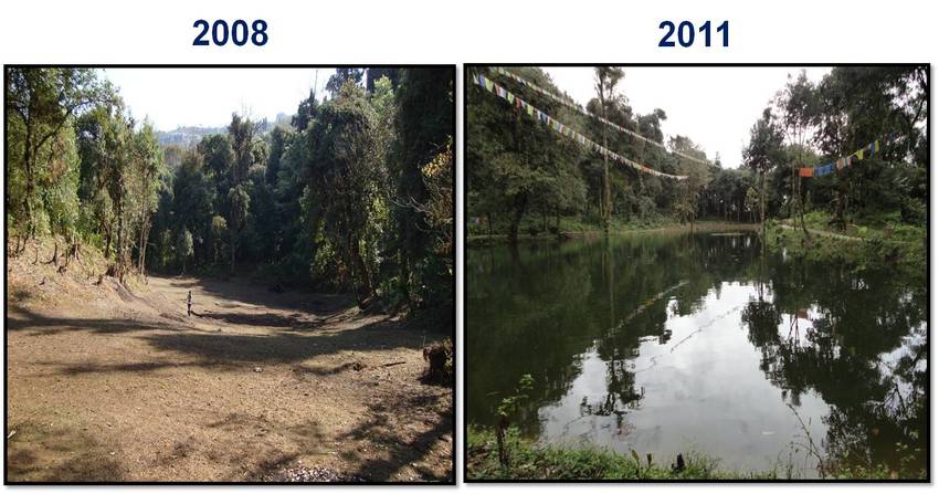River Revived