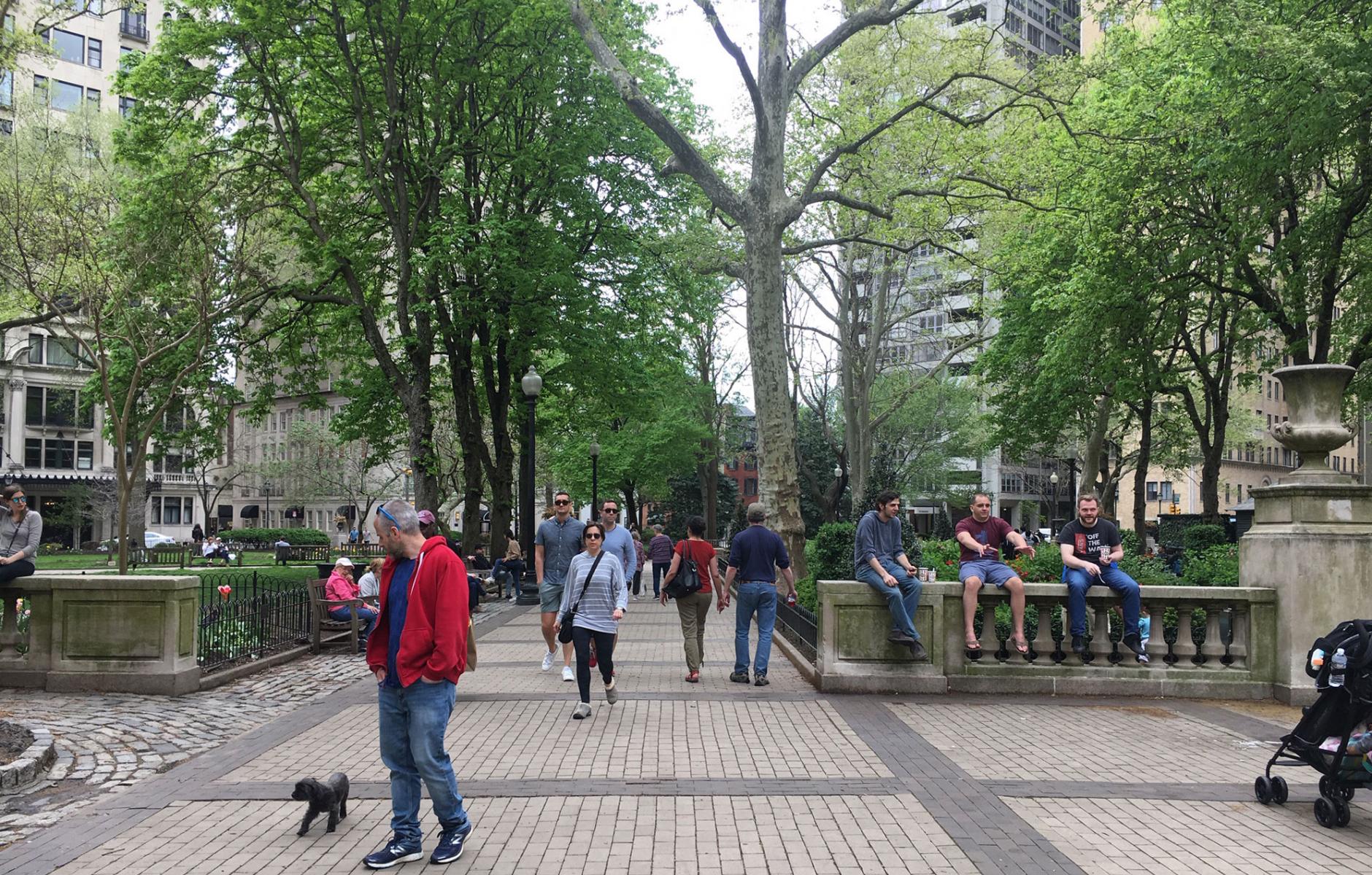 Greenery at an interactive Public Park