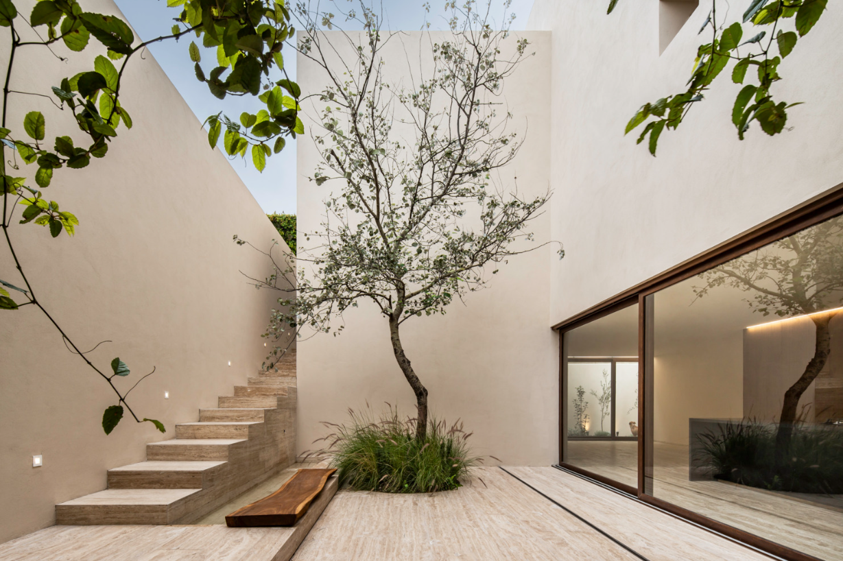 Lively Courtyard Inviting Nature into Space