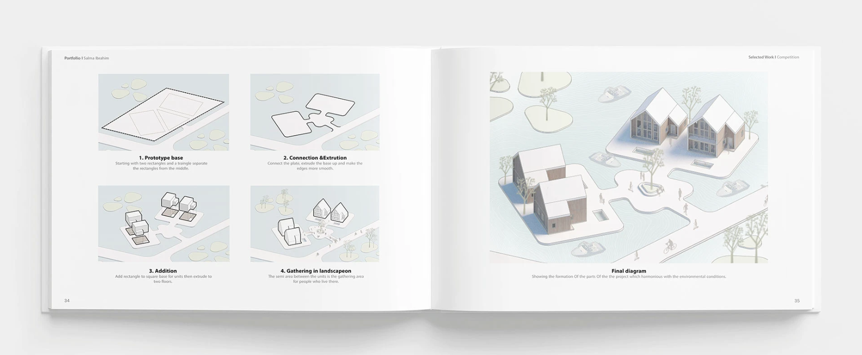 Salma Ibrahim, Issue Portfolio