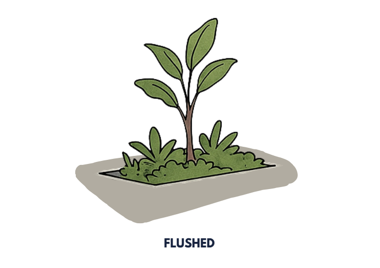 Flushed Planter Box Illustrated