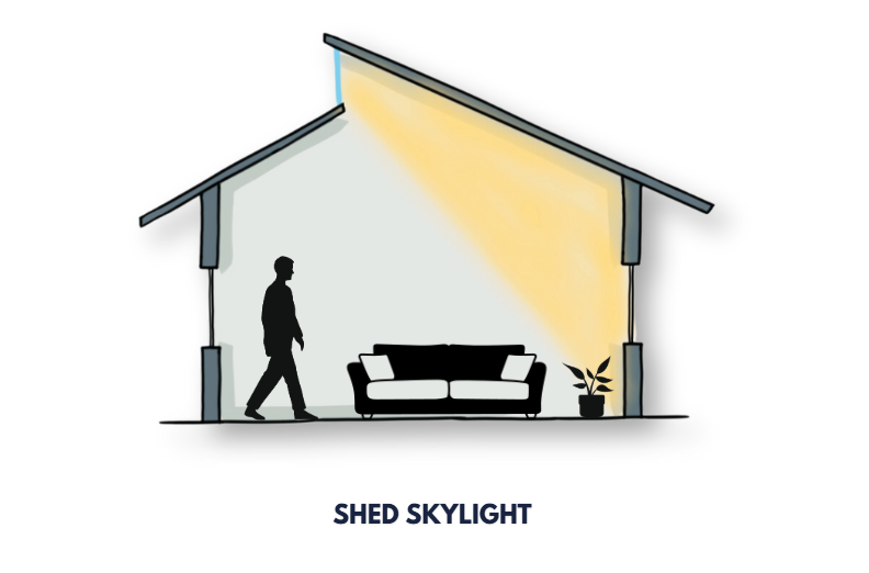 Shed Skylight Illustrated