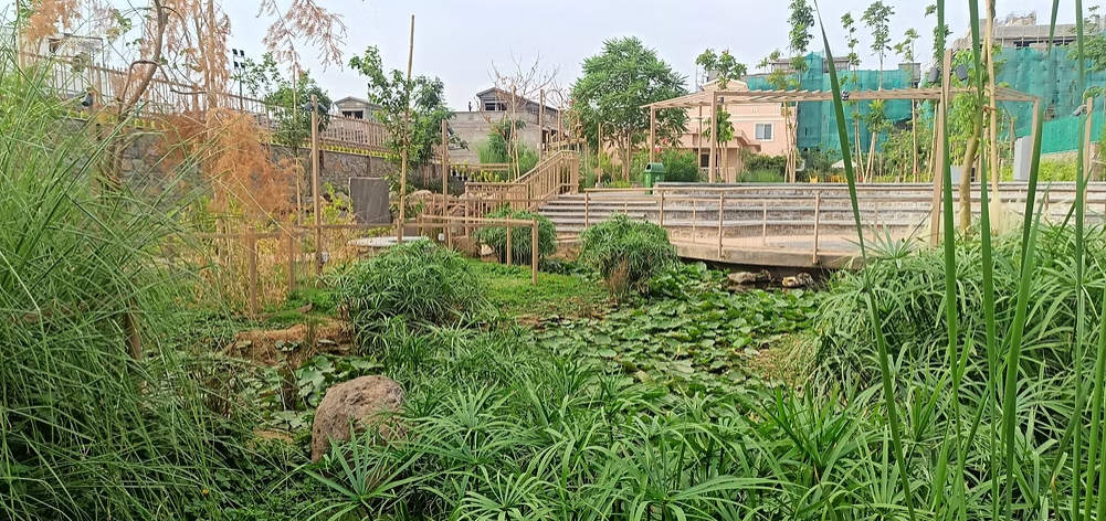 Shubhashish Home, Riparian Wetland landscape