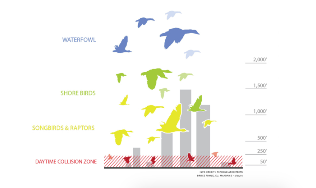 Bird-Friendly Guidelines