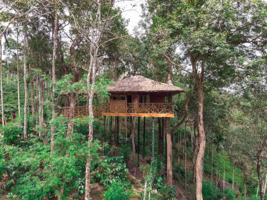 Eco-Lodges