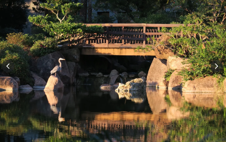 Wooden Bridge over Water to interact with ecology and calm the mind with a walk surrounded by tranquil water