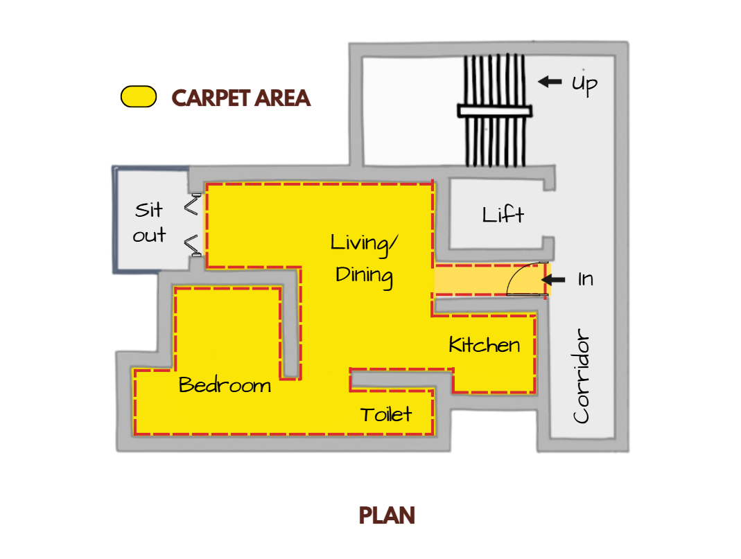 Carpet area illustration