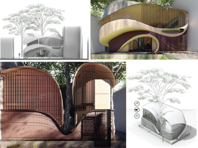 Studio Ant Project