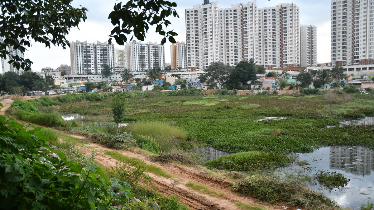 Bengaluru's Lake Encroachment