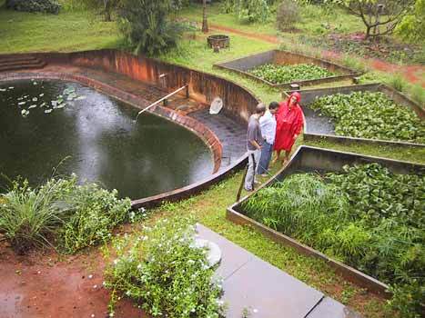 Root Zone Wastewater Treatment (RZWT)