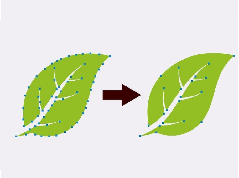 Illustrator Interface