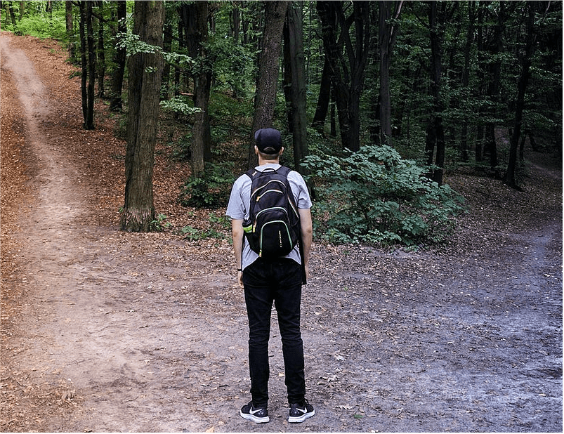 Decipher your Path&nbsp;