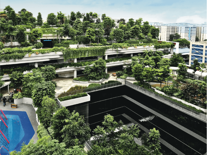 Landscaped Terrace
