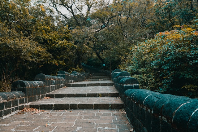 Designing Outdoor Steps in Architecture: Choosing the Right Material