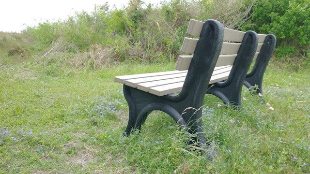 Prospect and Refuge in Architecture: Designing Spaces People Feel Comfortable In