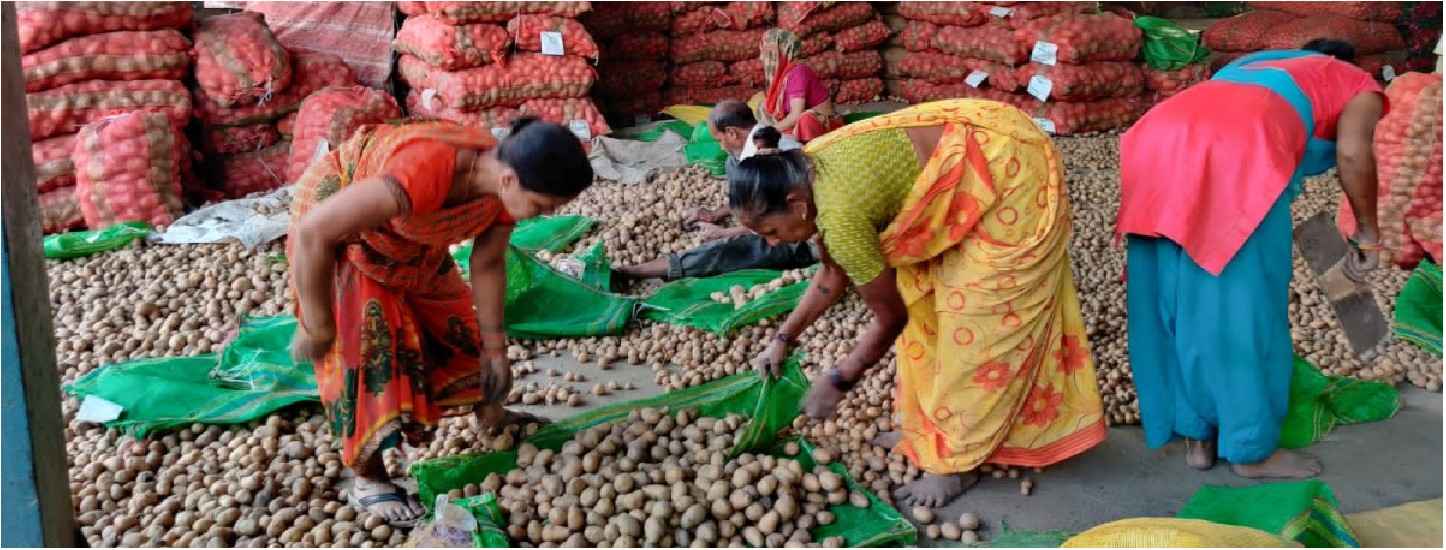 Global Wholesale and Retail Markets: Case Studies from Around the World